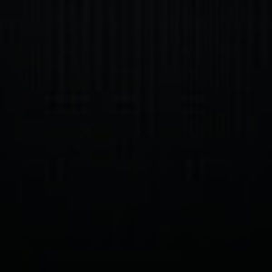 Meet your Posher, Presley